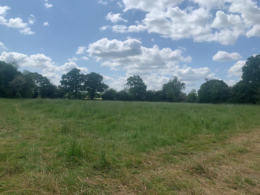 Lot: 129 - LAND FOR TRAVELLER OCCUPATION WITH PLANNING FOR TRAVELLER AND TOURER PITCHES, DAY ROOM AND STABLES - General view of land